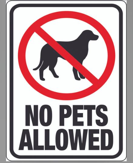 NO PETS ALLOWED SIGN