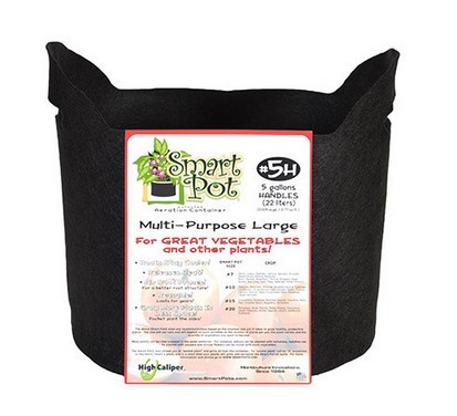 High Caliper Growing Smart Pot, Black 5 GAL