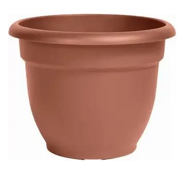 Bloem 2056106 Terra Cotta Ariana Planter, 6in