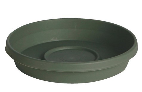 BLOEM Terra Living Plastic Flower Pot Saucer, Green 12 In