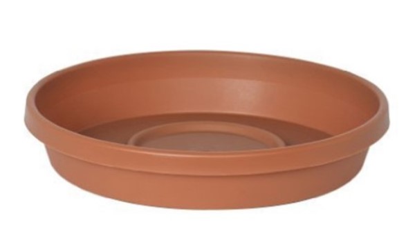 Terra Tray Plant Saucer Clay, 8"