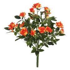 15"Orange Mini Diamond Rose Bush