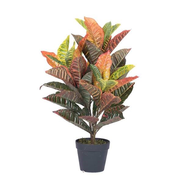 30" Real touch croton  in pot