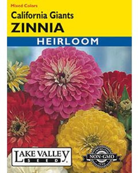 LV ZINNIA