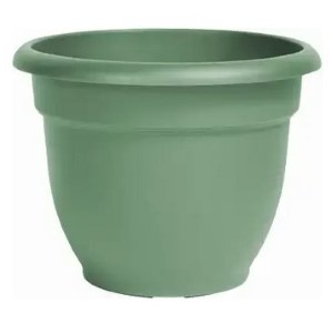 Bloem 20-56406 Ariana Living Plastic Self-Watering Planter, Green 6in