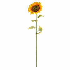 56" Yellow Sunflower Stem