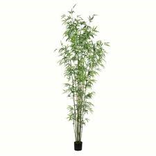 8' Potte Mini Bamboo Tree Leaves