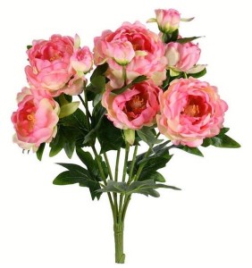 19" Light Pink Peony Bush