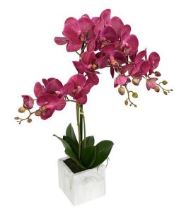 18"  Plum Phalaenopsis in Metal Pot