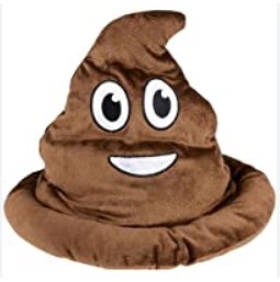 Rhode Island Novelty Emoji Poop Hat