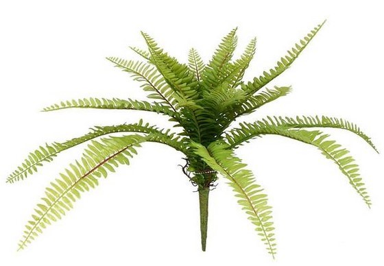 19" Green Long Fern Spray